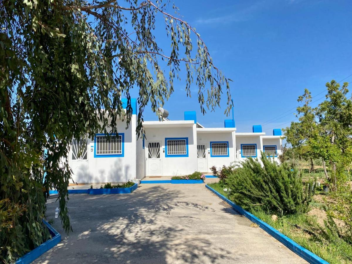 Elgreco Apartment, At Tigaki, Near The Sea "3" Dış mekan fotoğraf